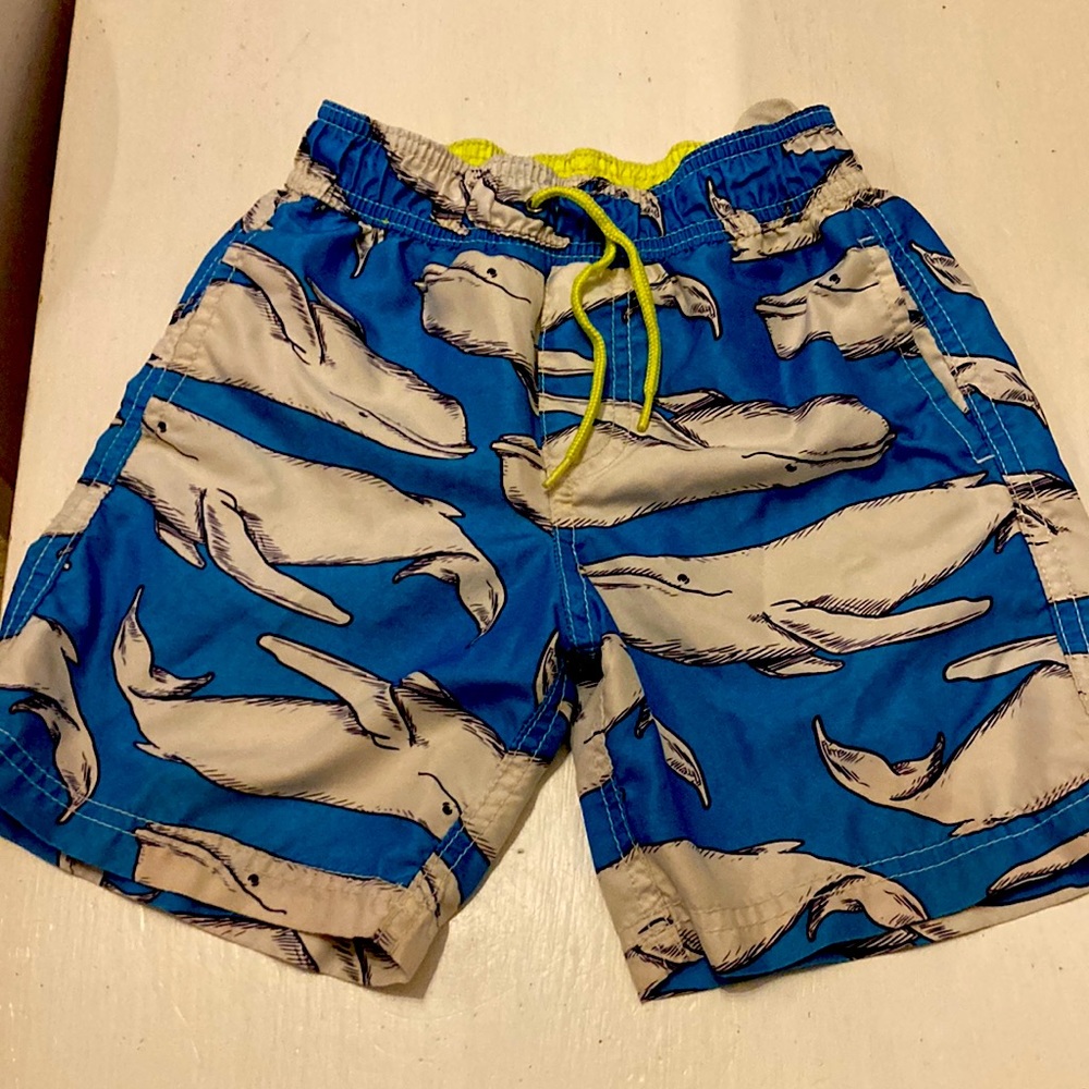Carters brand whale swim trunks, size 6